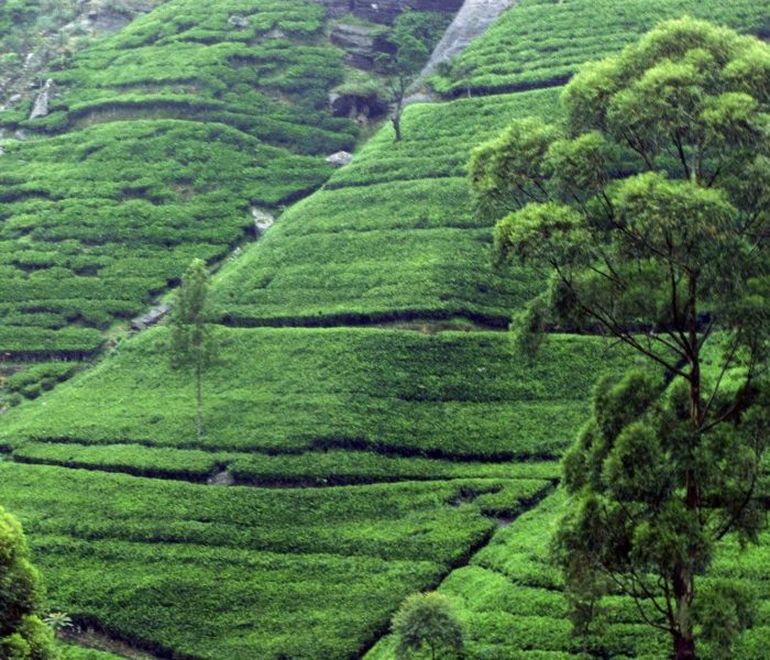 sri lanka, ceylon