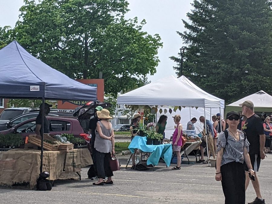 people at stalls at the Almonte Farmers Market