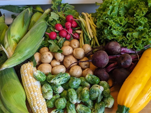 fresh vegetables from farmers market